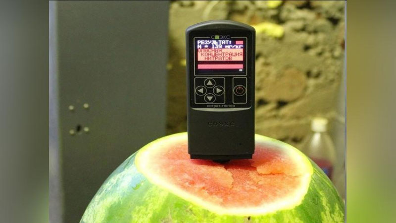 'Ertaki tarvuzdan zaharlanmaslik uchun uni qanday to`g`ri tanlash kerak?'ning rasmi