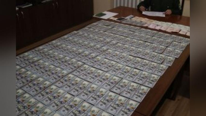 Изрображение 'ЖЕНЩИНА ПЫТАЛАСЬ ВЫВЕЗТИ В КЫРГЫЗСТАН $30 ТЫСЯЧ В НИЖНЕМ БЕЛЬЕ'