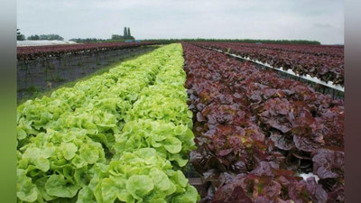 Изрображение 'Видео: Комментарий к постановлению о развитии предпринимательства в сельском хозяйстве'