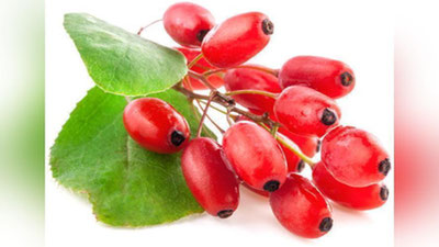 'ZIRK — YuRAK-QON TOMIR FAOLIYaTINI YaXShILAYDI'ning rasmi