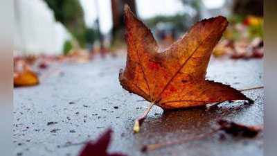 'Ўзбекистонда 1 декабрь куни кутилаётган об-ҳаво маълумоти эълон қилинди'ning rasmi