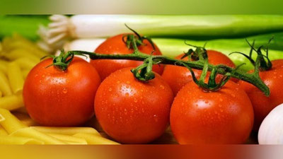 Изрображение 'Меры по поддержке тепличных хозяйств: комментарий к Постановлению (видео)'