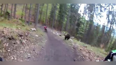 Изрображение 'С МЕДВЕДЕМ НАПЕРЕГОНКИ: ВИДЕО НЕОБЫЧНОЙ ПОГОНИ ПОКОРИЛО ИНТЕРНЕТ'