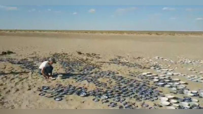 Изрображение 'Российская художница задумала создать "море" на высохшем дне Арала (видео)'