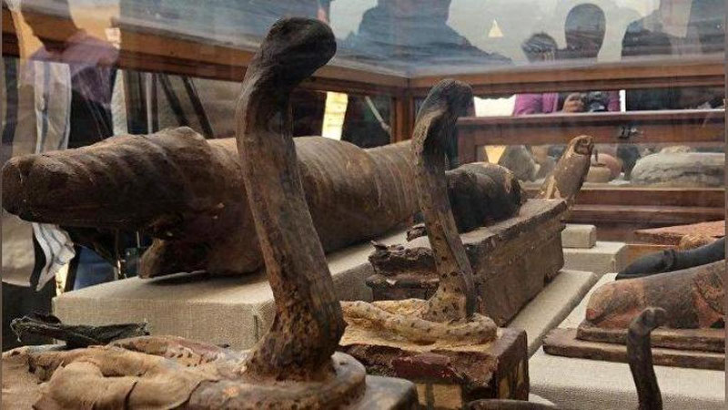 'Misrda mumiyolangan jonivorlarning qabri topildi 'ning rasmi