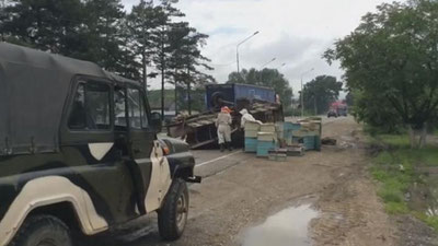 '​Краснодарда асалари қутилари ортилган автомобиль ағдарилиб, асаларилар одамларга ҳужум қилди'ning rasmi