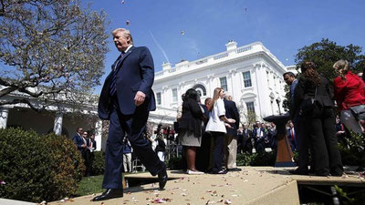 Изрображение 'ТРАМП ПРИКАЗАЛ НАНЕСТИ УДАРЫ ПО СИРИИ'