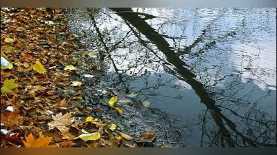 Изрображение 'ТЕПЛАЯ ПОГОДА И НОВАЯ ВОЛНА ПОХОЛОДАНИЯ: ПРОГНОЗ НА НЕДЕЛЮ'