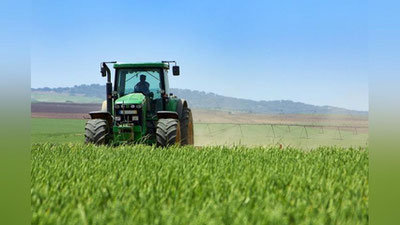 Изрображение 'ФЕРМЕРЫ ОБГОНЯЮТ ТОРГОВЦЕВ: В КАКИХ СФЕРАХ ОТКРЫТО БОЛЬШЕ ПРЕДПРИЯТИЙ'