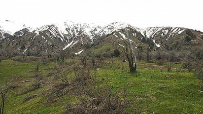 Изрображение 'ТЕПЛО И БЕЗ ОСАДКОВ: ПОГОДА НА 14 АПРЕЛЯ'