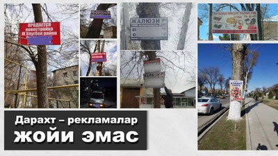 '"Daraxt – reklamalar uchun joy emas" – Iste`molchilar huquqlarini himoya qilish agentligi'ning rasmi