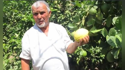 'O‘zLiDeP faoli partiya ko`magida sitrus meva ko`chatlarini etishtirish maktabini tashkil etmoqda (video)'ning rasmi