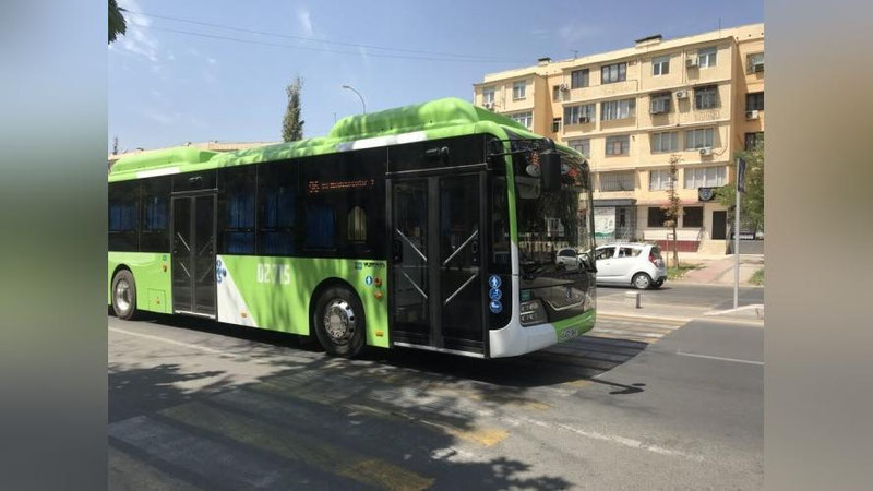 'Toshkentda avtobus chiptachisi qamaldi'ning rasmi
