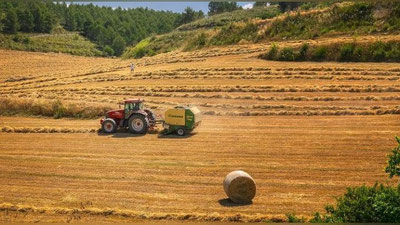 'O`zLiDeP g`alla etishtiruvchi fermerlarni qo`llab quvvatlaydi'ning rasmi