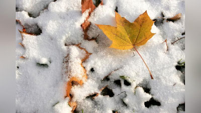'Ertaga yurtimizda qanday ob-havo kuzatiladi?'ning rasmi