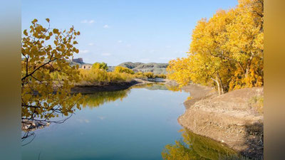 Изрображение 'Нижне-Амударьинский государственный биосферный резерват включен в список ЮНЕСКО'