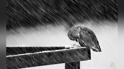 'Ertaga O`zbekistonga Eron va Turkmaniston orqali salqin havo massasi kirib kelishi kutilmoqda'ning rasmi