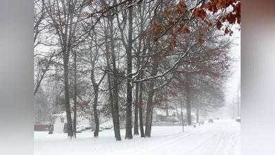 'Yomg`ir, tuman, qor: Ertaga O`zbekistonda kuzatiladigan ob-havo haqida ma`lumot berildi'ning rasmi