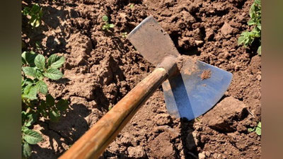 Изрображение 'Удар кетменем по голове оказался смертельным: случай в Бостанлыке'