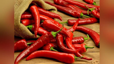 'Qashqadaryoda achchiq qalampir eksport qilinadi'ning rasmi