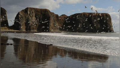 'Kuril sohillarida zilzila sodir bo`ldi'ning rasmi