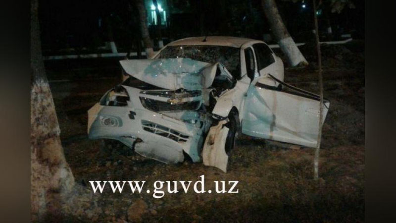 Изрображение 'В ТАШКЕНТЕ КОБАЛЬТ ВРЕЗАЛСЯ В ДЕРЕВО: 1 ПОГИБ, ТРОЕ ПОСТРАДАЛИ'