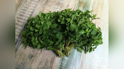 Изрображение 'ЧЕМ ПОЛЕЗНА МЯТА?'