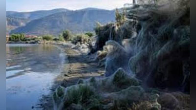 'Gresiyadagi ko`lni o`rgimchak to`ri qoplamoqda'ning rasmi