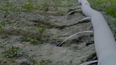 'Sirdaryoda fuqaro o`ziniki bo`lmagan erni 46,5 ming AQSh dollariga sotayotganda ushlandi (video)'ning rasmi