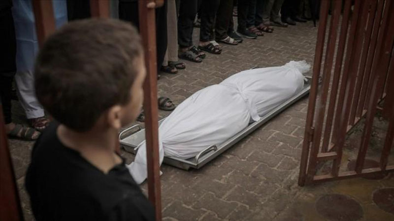 'Isroilning G`azodagi hujumlari oqibatida halok bo`lganlar soni 11500 ga etdi'ning rasmi