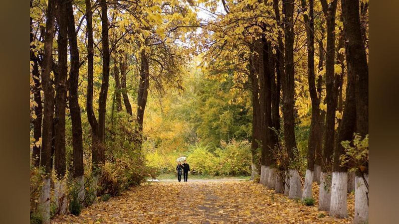 '“Ўзгидромет” янги ҳафтада кузатиладиган об-ҳаво маълумотларини эълон қилди'ning rasmi