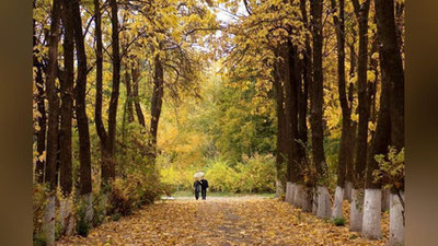 '“Ўзгидромет” янги ҳафтада кузатиладиган об-ҳаво маълумотларини эълон қилди'ning rasmi