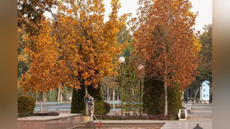 'Joriy hafta O`zbekistonda qanday ob-havo bilan yakunlanishi aytildi'ning rasmi