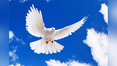 '​FARG`ONADA “MA`RIFIY ISLOM AQIDAPARASTLIKNI QORALAYDI” MAVZUSIDA TADBIR BO`LIB O`TDI'ning rasmi