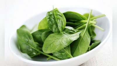 'Саратонга қалқон — исмалоқ 'ning rasmi