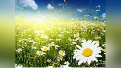 '15 ИЮЛЬ КУНИ ЎЗБЕКИСТОНДА ҚАНДАЙ ОБ-ҲАВО КУЗАТИЛАДИ?'ning rasmi