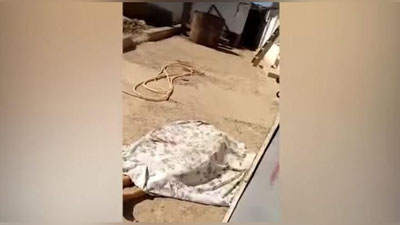 Изрображение 'В ЯНГИЮЛЕ ПАСТУХ ЗАРЕЗАЛ СВОЮ ЖЕНУ ИЗ РЕВНОСТИ'