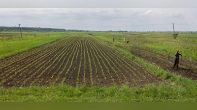 'Unumdorligi past erlar investorlarga auksion orqali ajratiladi'ning rasmi