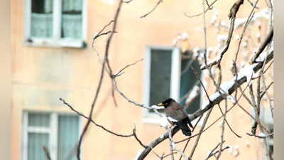 'O`zbekistonda bugundan boshlab havo harorati ko`tarila boshlaydi — O`zgidromet'ning rasmi