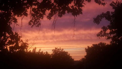 Изрображение 'Ташкентцы наблюдали необычайный по красоте закат (фото, видео)'