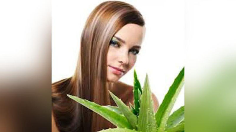 'SOChLAR UChUN TURLI NIQOBLAR  'ning rasmi