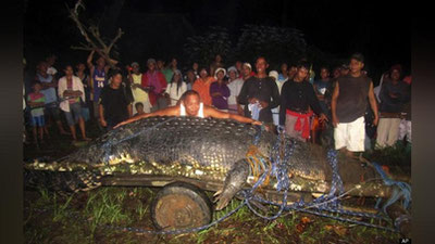 'Gigant timsoh “Ginnessning rekordlar  kitobi”ga kiritildi'ning rasmi