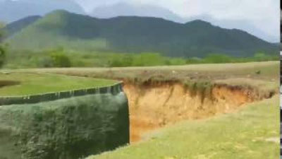 '​Meksikaning safari-parkida urg`ochi sher sayyohlarga tashlandi (Video)'ning rasmi