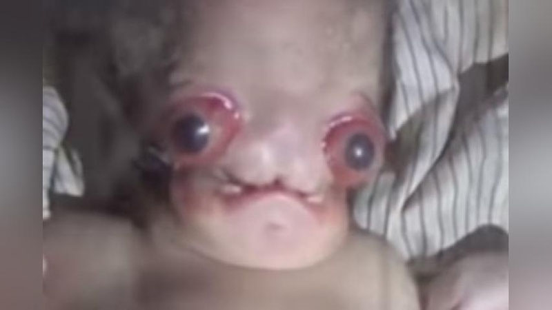 '​HINDISTONDA “BEGONA” NOMINI OLGAN ChAQALOQ VAFOT ETDI'ning rasmi