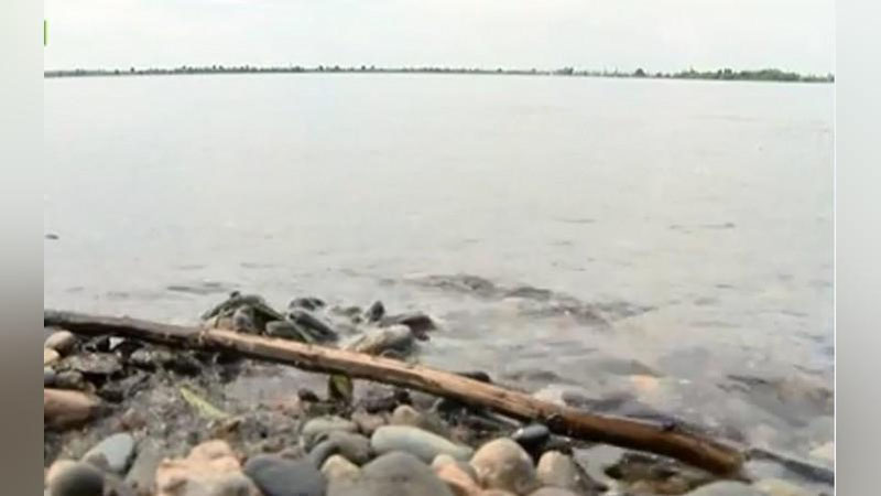 Изрображение 'В Ургуте возле арыка нашли тело 3-летнего мальчика'