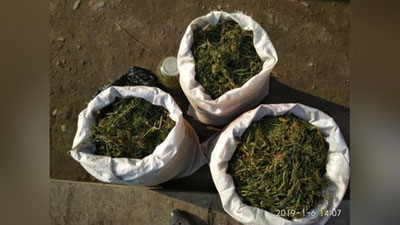 'Farg`onada 3 ta qopda giyohvand vosita saqlagan fuqaro qo`lga olindi'ning rasmi