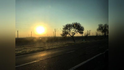 'Xalqaro Press-klub Mirzacho`lga keldi'ning rasmi