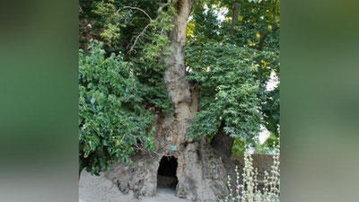 'Имкана қишлоғида қандай синоатлар яширин?'ning rasmi