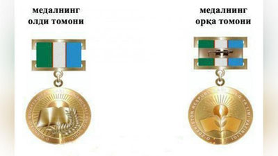 Изрображение 'КТО ПОЛУЧИТ ЗОЛОТЫЕ И СЕРЕБРЯНЫЕ МЕДАЛИ ПОСЛЕ ОКОНЧАНИЯ ШКОЛЫ?'