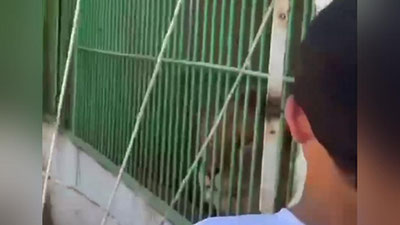 Изрображение 'Зоозащитникам поступила жалоба на условия содержания животных в зоопарке в Нукусе'